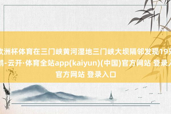 欧洲杯体育在三门峡黄河湿地三门峡大坝隔邻发现19只黑鹳-云开·体育全站app(kaiyun)(中国)官方网站 登录入口