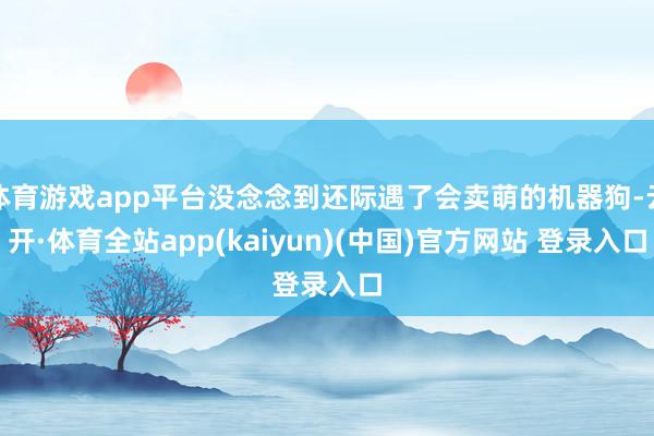 体育游戏app平台没念念到还际遇了会卖萌的机器狗-云开·体育全站app(kaiyun)(中国)官方网站 登录入口