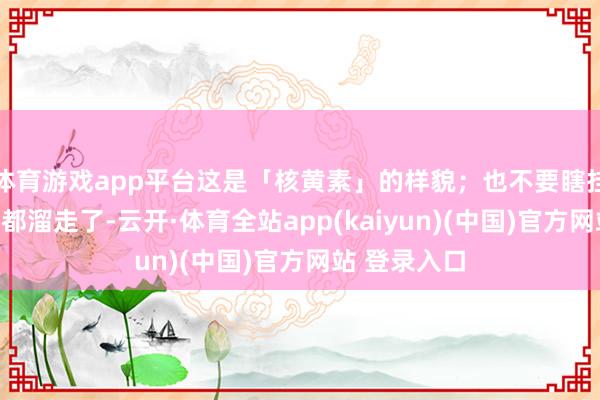 体育游戏app平台这是「核黄素」的样貌；也不要瞎挂牵认为吃了都溜走了-云开·体育全站app(kaiyun)(中国)官方网站 登录入口