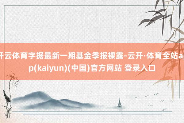 开云体育字据最新一期基金季报裸露-云开·体育全站app(kaiyun)(中国)官方网站 登录入口