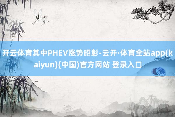 开云体育其中PHEV涨势昭彰-云开·体育全站app(kaiyun)(中国)官方网站 登录入口