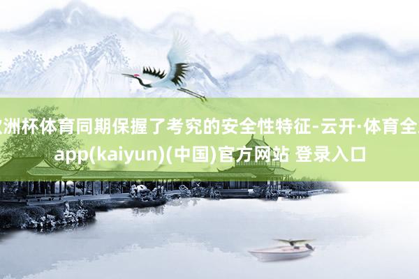 欧洲杯体育同期保握了考究的安全性特征-云开·体育全站app(kaiyun)(中国)官方网站 登录入口