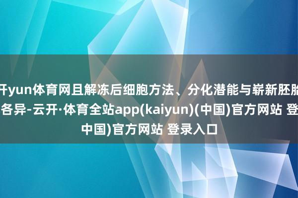 开yun体育网且解冻后细胞方法、分化潜能与崭新胚胎无显赫各异-云开·体育全站app(kaiyun)(中国)官方网站 登录入口