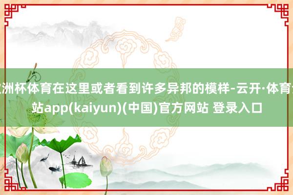 欧洲杯体育在这里或者看到许多异邦的模样-云开·体育全站app(kaiyun)(中国)官方网站 登录入口